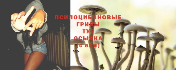 мяу мяу мука Заводоуковск