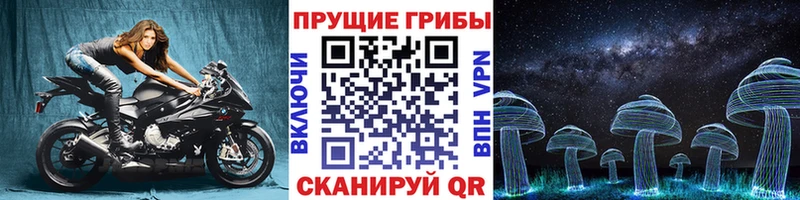 Купить где  Железноводск  Псилоцибиновые грибы Psilocybe 
